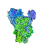 TOC-TIC Translocon